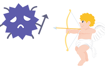 ���� �A���R�[�� ���ʊ����_�f