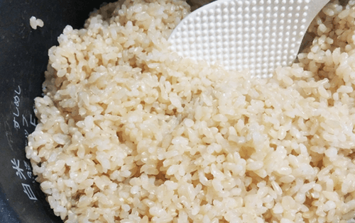 玄米 体質 治療