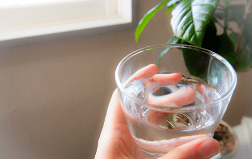 ������ ���i �e��